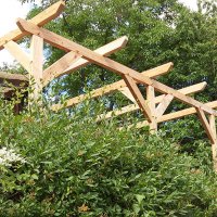 Pergola Pergola